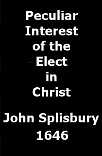 The Peculiar Interest of the Elect in Christ